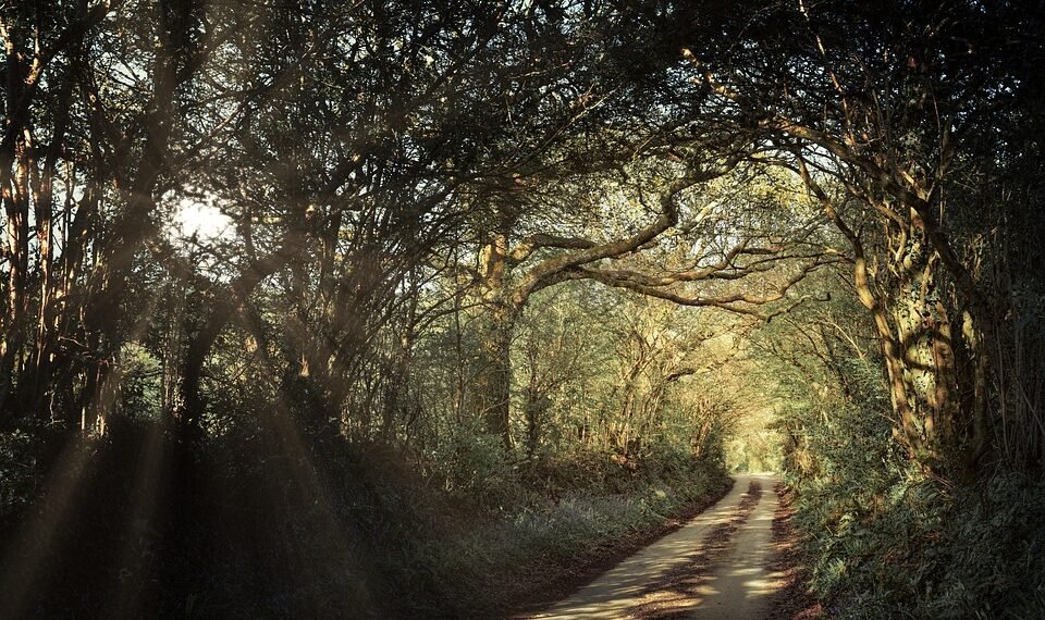 how laws are made in the united kingdom