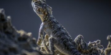 cinematic impact of true story adaptations