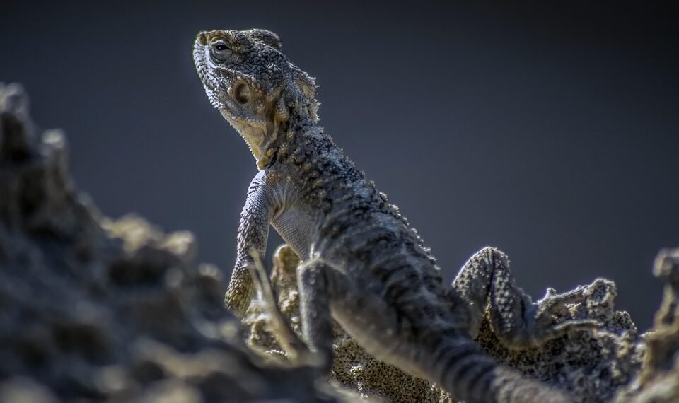 cinematic impact of true story adaptations