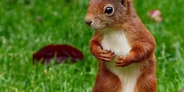 role of producers in shaping major films