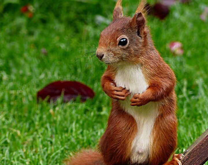 role of producers in shaping major films