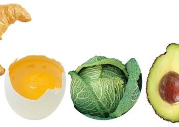 how plants absorb nutrients from soil