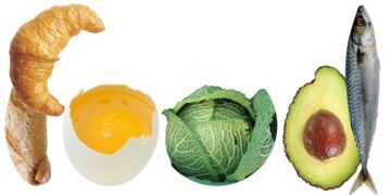 how plants absorb nutrients from soil