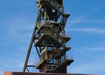 structure and function of human digestive system