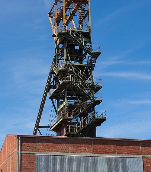 structure and function of human digestive system