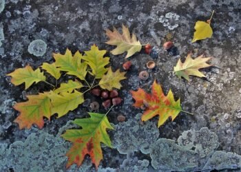 importance of screenplay structure in filmmaking