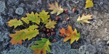 importance of screenplay structure in filmmaking