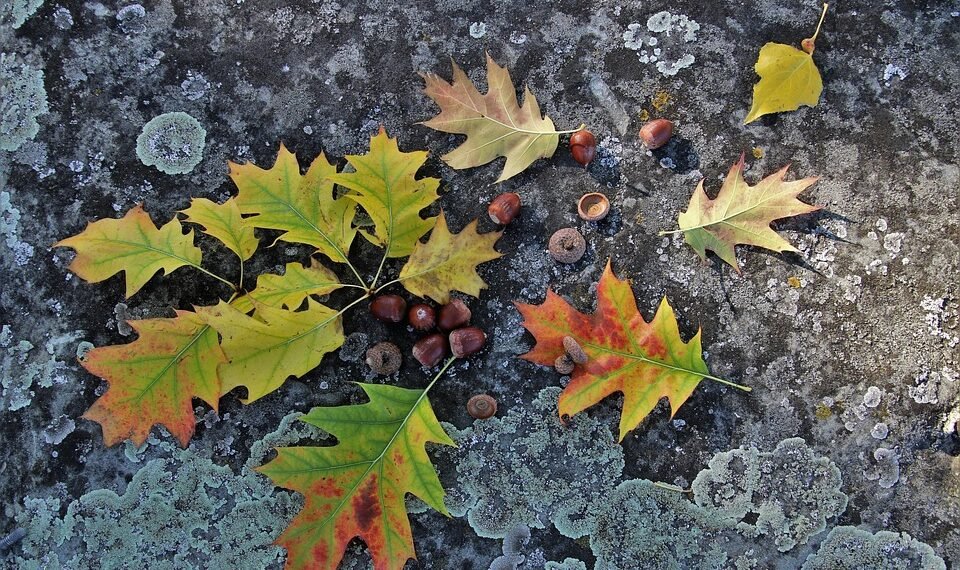 importance of screenplay structure in filmmaking