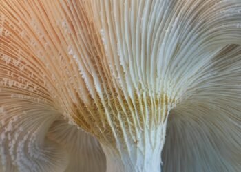 how enzymes work in biological reactions