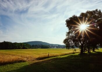 behind the scenes of practical effects in classics