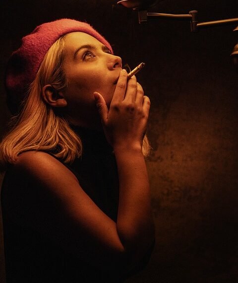 cinematic contributions of akira kurosawa