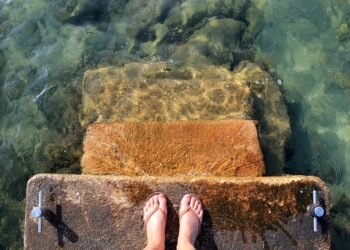 steps of the water cycle and its importance