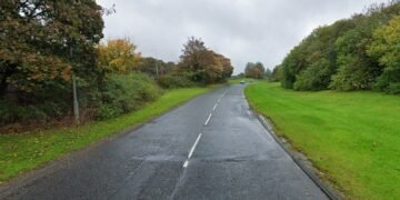 TikTok Influencer Jailed After Fatal Crash Ignoring Car Break Warnings