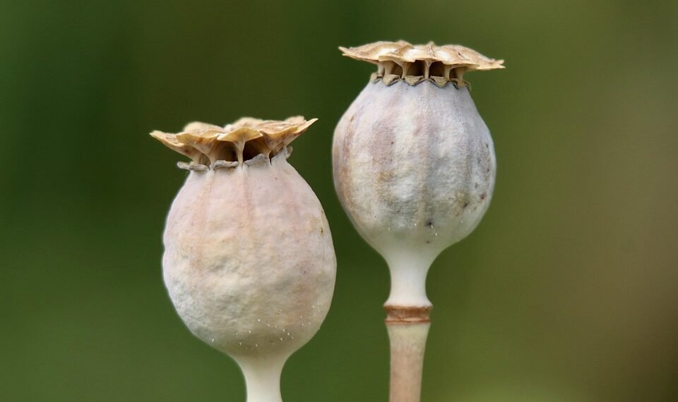 basics of building a capsule wardrobe