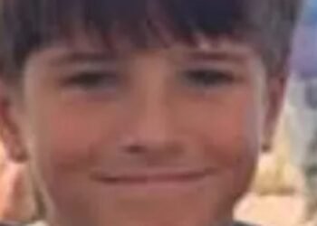 Tragic Shark Attack Claims Life of 12-Year-Old Boy in Sydney Harbour