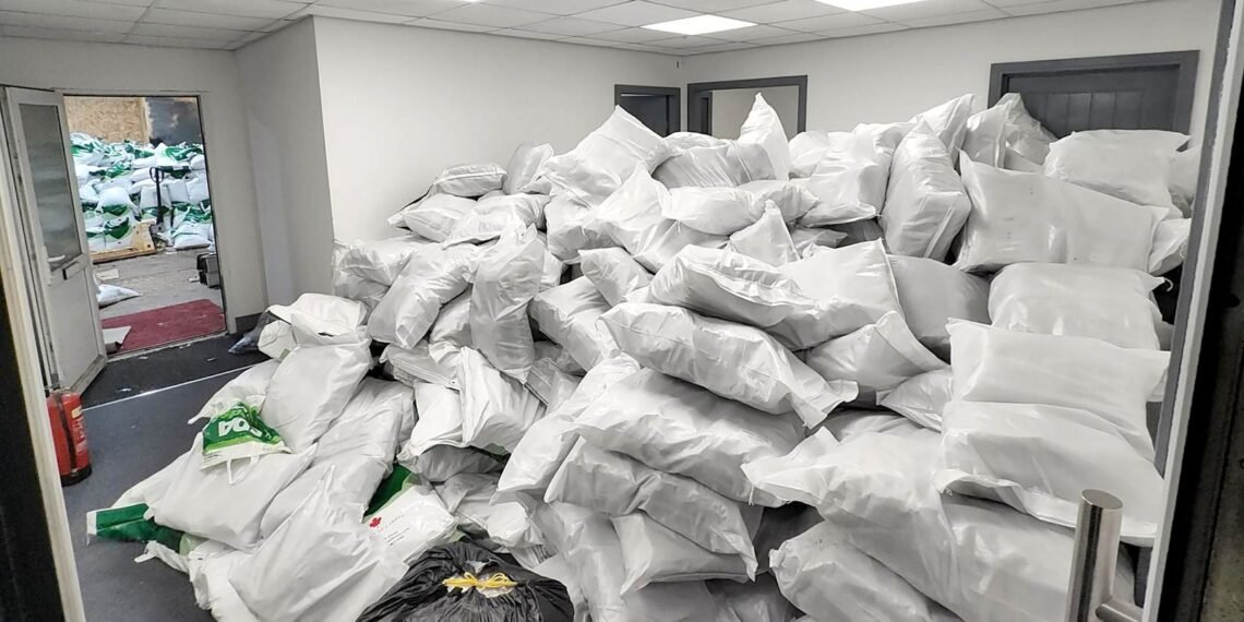 Two Men Charged After £24m Cannabis Seizure in UK Operation