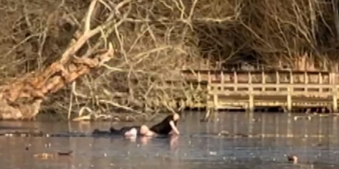Two Men Stranded While Attempting Dog Rescue from Icy Lake in Essex
