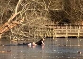 Two Men Stranded While Attempting Dog Rescue from Icy Lake in Essex