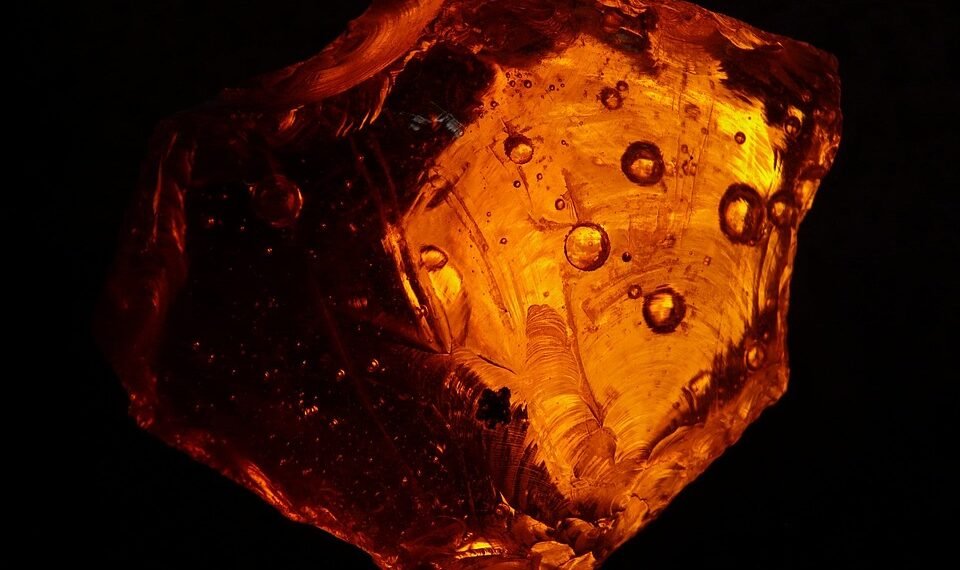 fossil formation and what fossils tell us