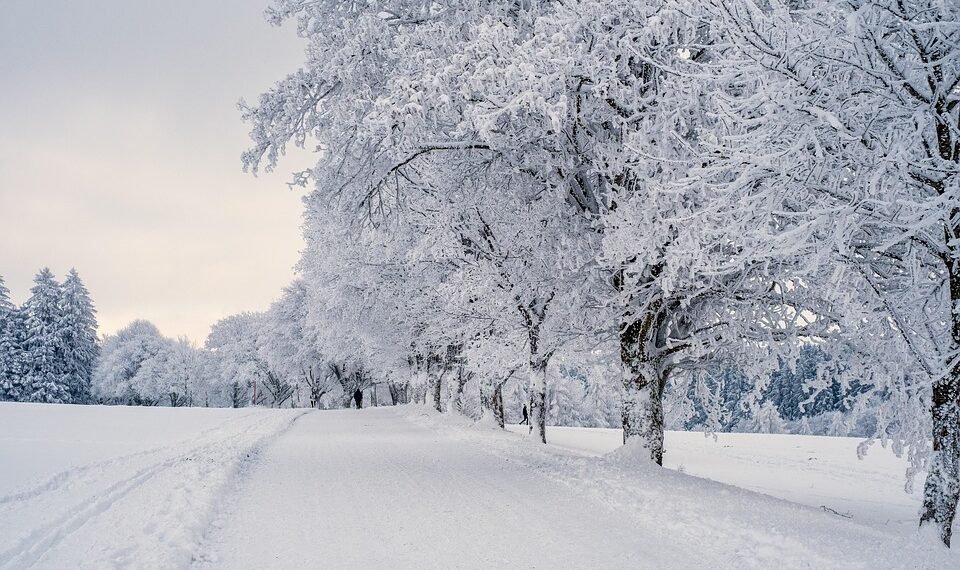 development of surround sound in movies