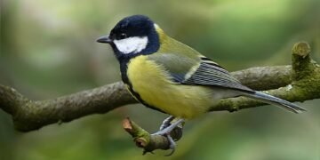 timeline of major film technological innovations