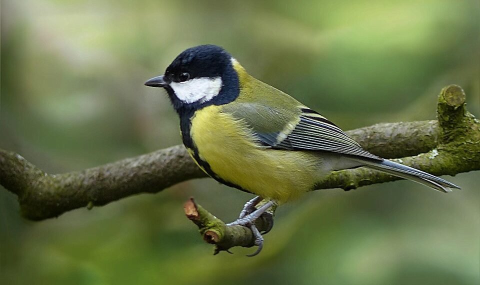 timeline of major film technological innovations