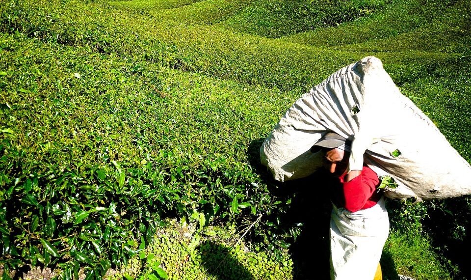 history of james cameron’s blockbuster filmmaking