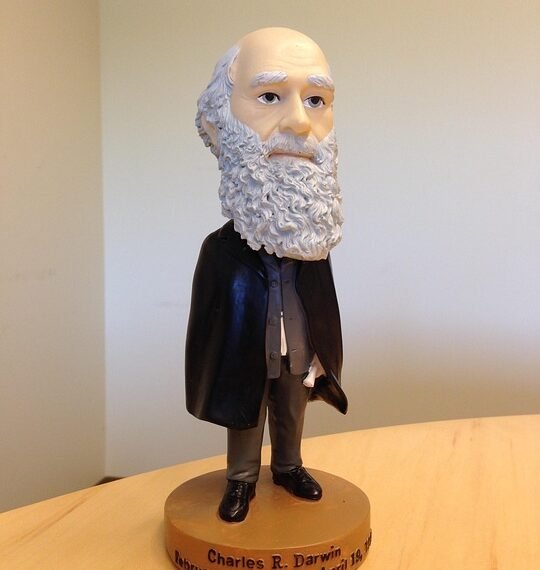 charles darwin theory of evolution overview