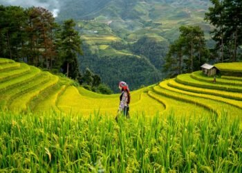 history of women’s suffrage movement