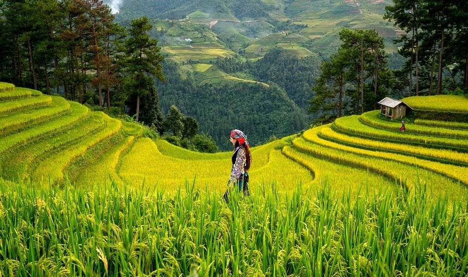 history of women’s suffrage movement