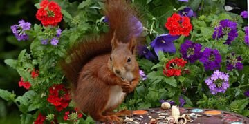 role of producers in shaping major films