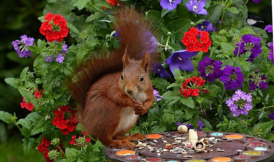 role of producers in shaping major films