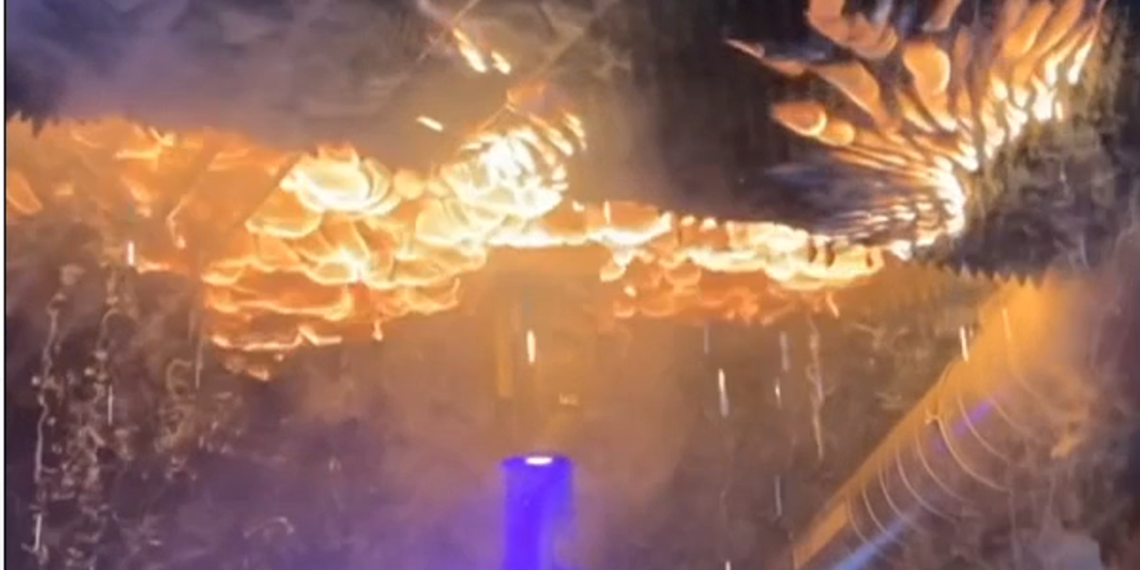 Understanding the Rapid Spread of the Deadly Ski Resort Fire: Key Facts