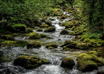 origin of film noir and stylistic elements