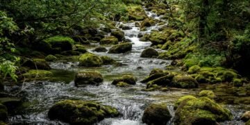 origin of film noir and stylistic elements