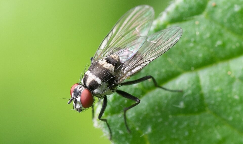 what is compound interest and how it works