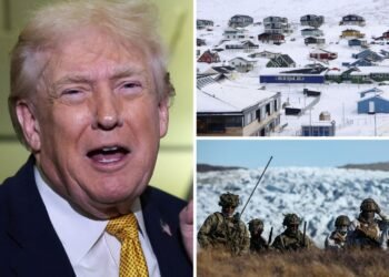 White House Emphasises Military Action in Greenland Remains an Option