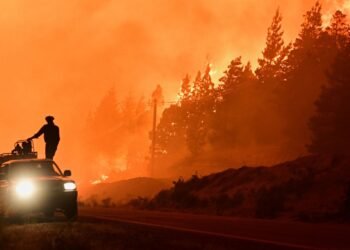 Wildfires in Southern Argentina Displace Thousands in Patagonia Region