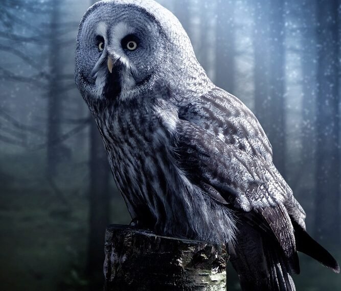 how comedy films changed from silent era to present