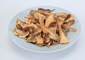 importance of film preservation and restoration