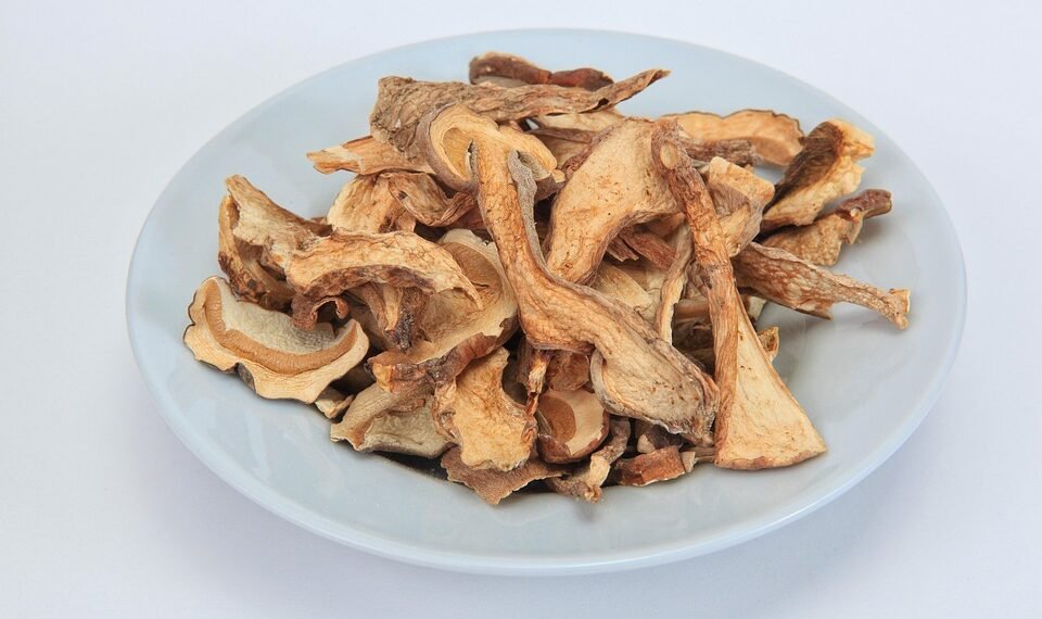 importance of film preservation and restoration