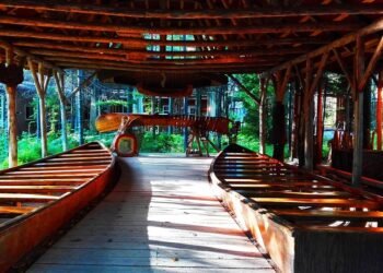 history of indian cinema evolution