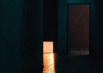 cinematic contributions of akira kurosawa