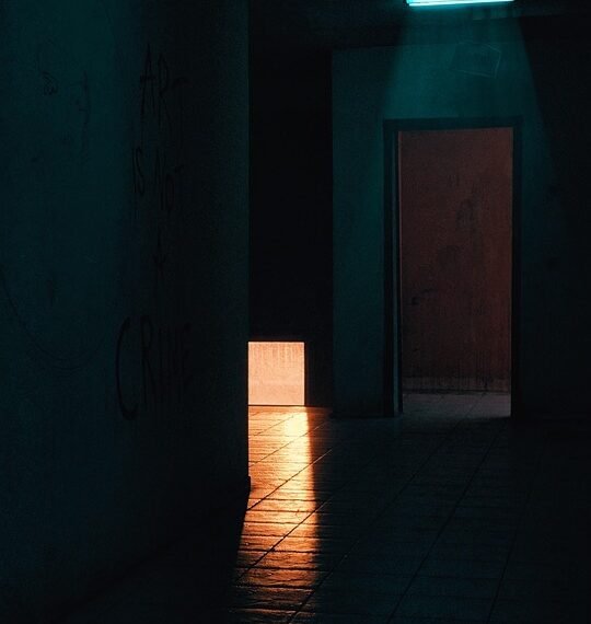 cinematic contributions of akira kurosawa