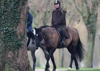Andrew Leaves Royal Lodge Amid Police Inquiry into 2010 Epstein Allegation