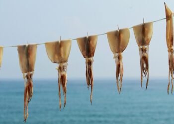 importance of film preservation and restoration