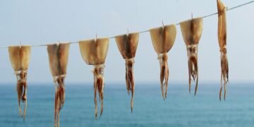 importance of film preservation and restoration