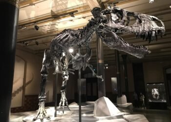 evolution of movie theatres and exhibition