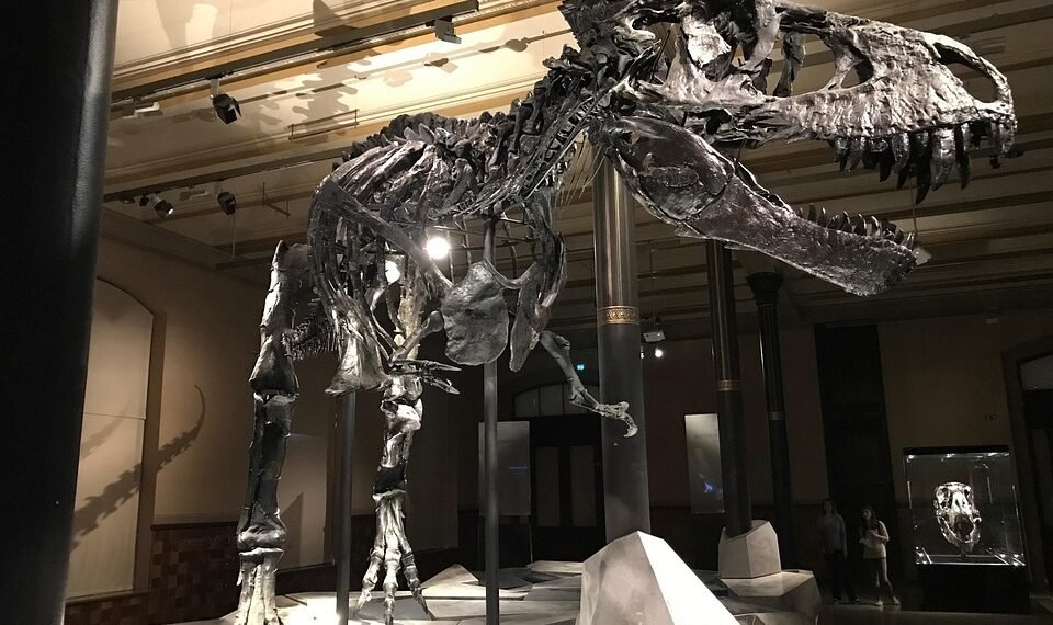 evolution of movie theatres and exhibition