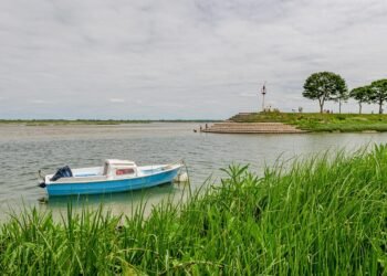 how film ratings systems developed globally